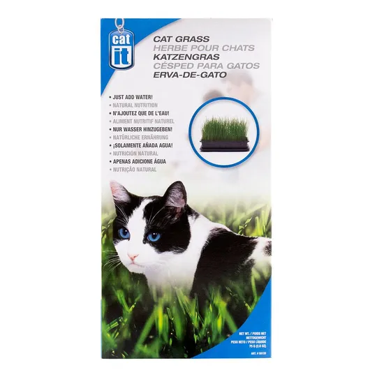 Cat Grass Catit