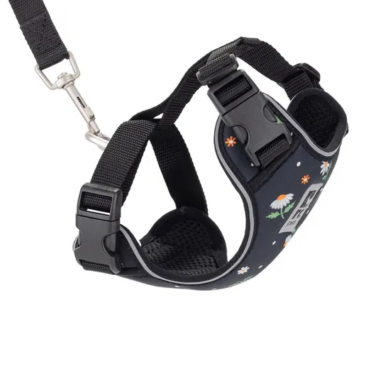 Lead And Harness Combo Rc Adventure Kitty Medium - Daisies