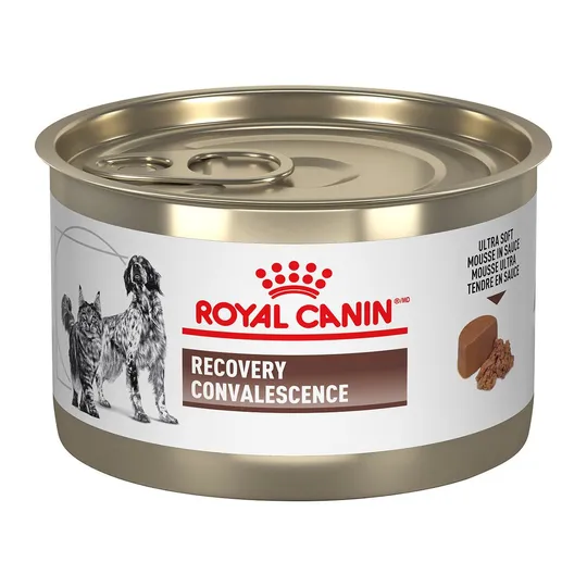 RC Recovery Ultra Soft Mousse