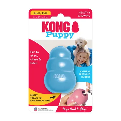 Kong Puppy