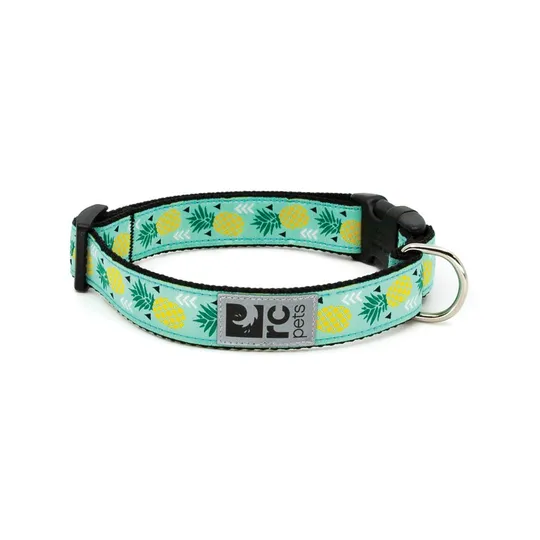 RC Clip Adjustable Pineapple Parade
