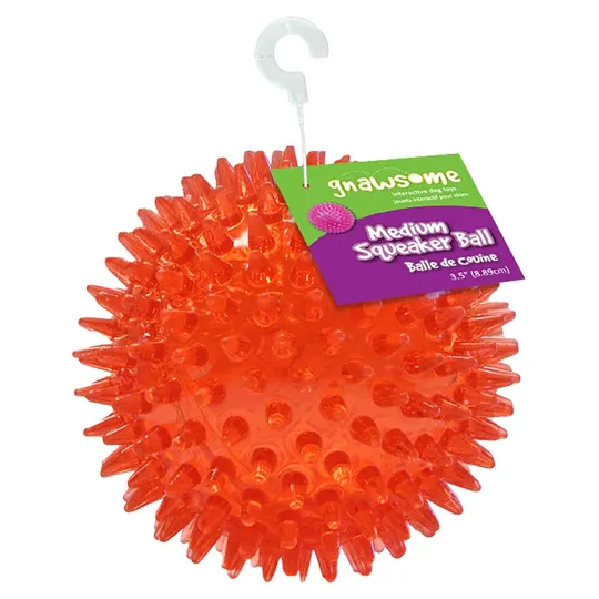 Gnawsome Ball with Squeaker