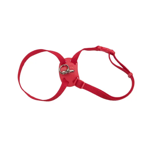Harness Adjustable Nylon Red