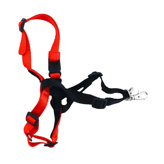 Harness Halti Training Red/Black