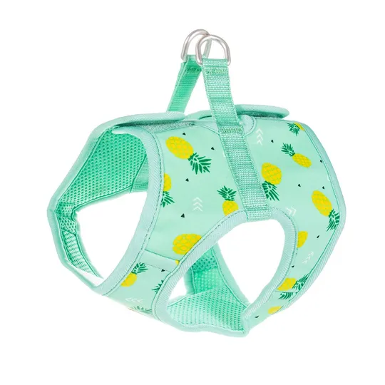 Harness Step-in Rc Cirque Pineapple Parade