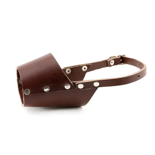 Muzzle Leather