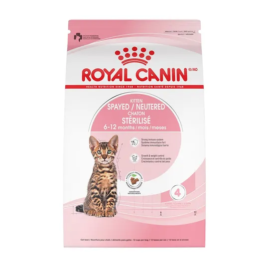 RC Kitten Spayed/Neutered