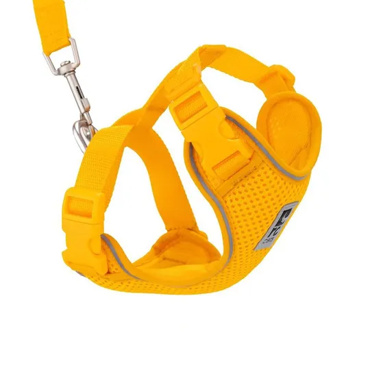 Lead And Harness Combo Rc Adventure Kitty Large - Marigold