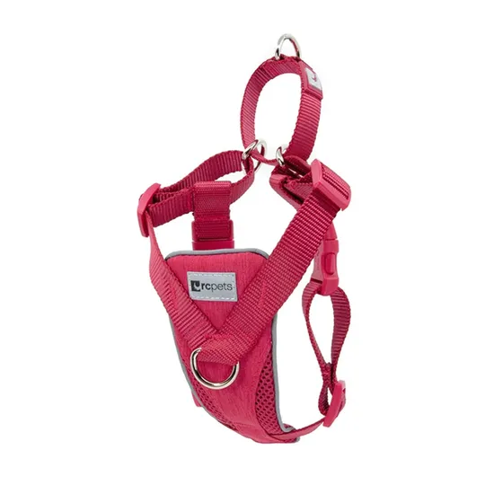 Harness Rc Tempo No Pull Medium - Heather Azalea