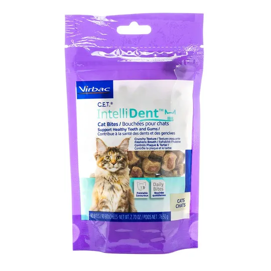 Cet Intellident Cat Bites