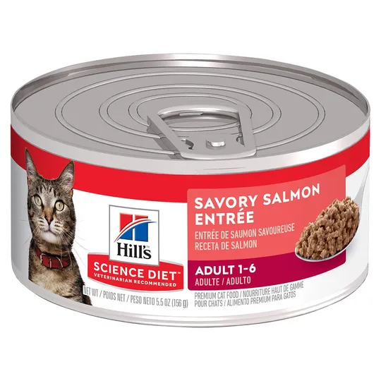 Science Diet Adult Salmon Entree - Wet