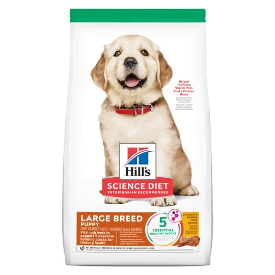 Science Diet Puppy Large Breed Chicken & Rice